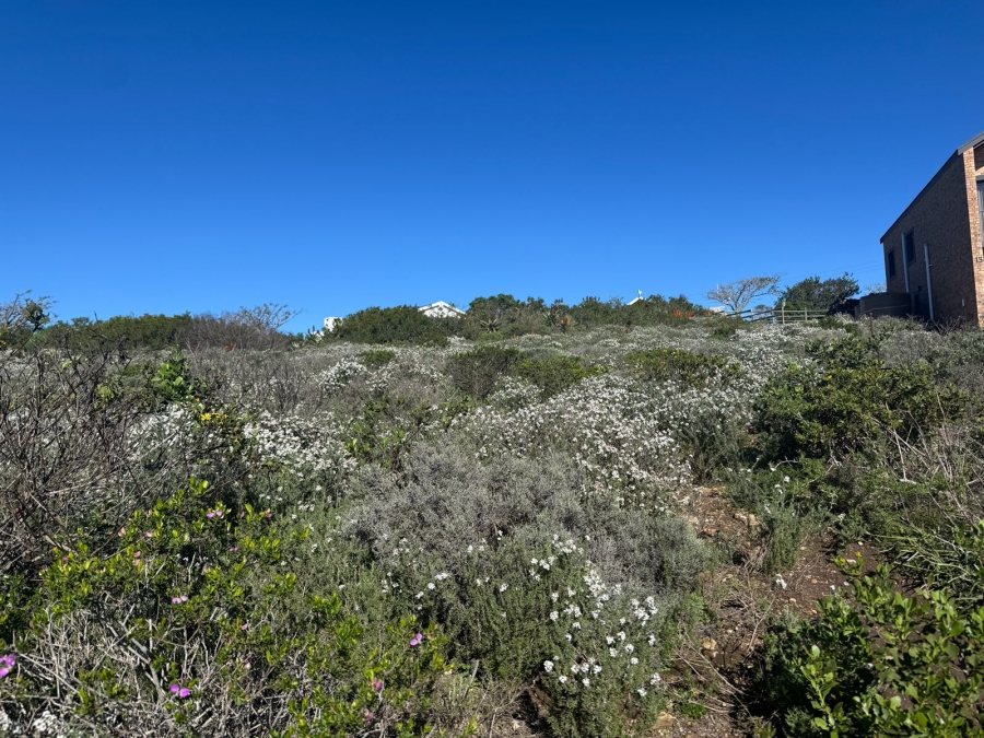 0 Bedroom Property for Sale in Vleesbaai Western Cape